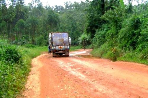 Nord-Kivu : Plusieurs notables de Beni saluent l'attribution du tronçon routier Beni-Bulongo au groupe JOKAS
