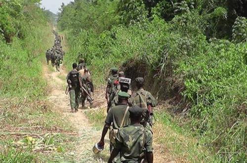 Irumu : Deux jeunes mineurs sauvés des mains des ADF par l'armée à Otomabere