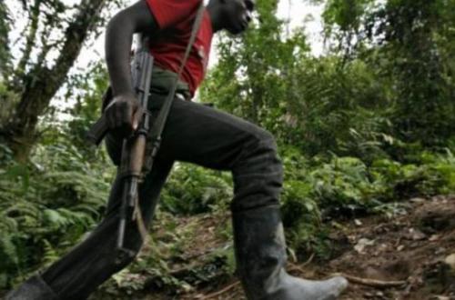Beni : Deux civils tués lors d'une incursion des ADF près de Kabalwa
