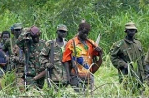 Présence des ADF à Mambasa : La NSCC des Babila-Babombi appelle la population à la vigilance