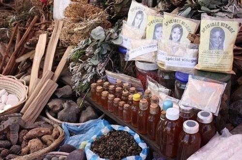 Les tradipraticiens à Goma : Entre médecine traditionnelle et défis de la modernité