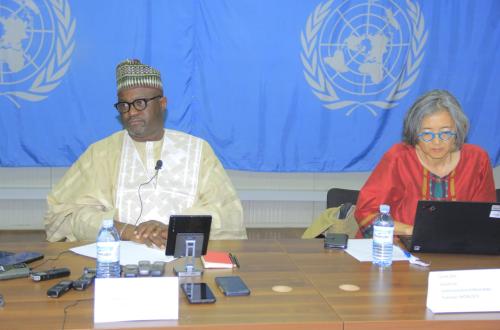 Ituri : La MONUSCO dénombre au moins 530 morts de civils à Djugu et Mahagi depuis décembre 2022