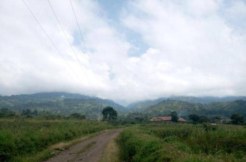 Nord-Kivu : 5 civils se sont échappés des mains des ADF à Kiurama après incursion à Beni