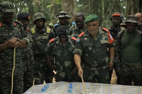 Nord-Kivu : Deux commandants ADF neutralisés dans une embuscade de la coalition FARDC-UPDF en territoire de Beni