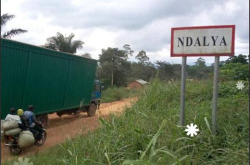 Ituri : Un combattant ADF neutralisé et plusieurs munitions récupérées par la coalition FARDC-UPDF près de Ndalya