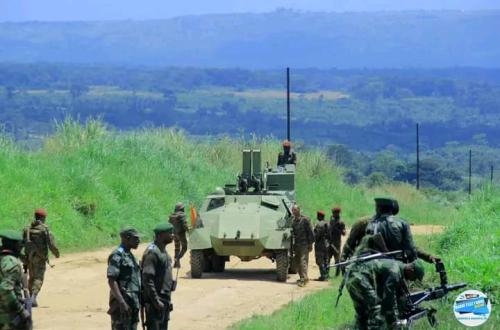 Beni : un grand ADF se rend aux FARDC avec l'une de ses gardes du corps