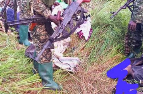 Beni : Trois terroristes ADF dont un leader neutralisé dans la vallée de Mughalika