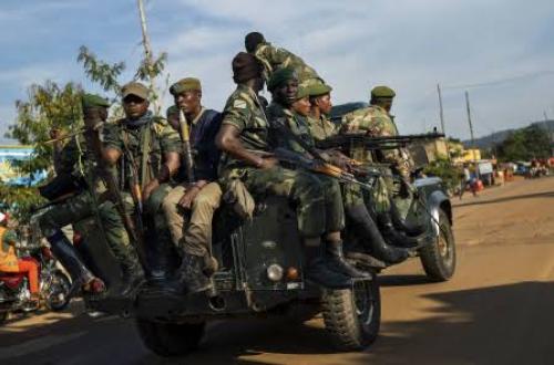 Beni : Un terroriste ADF de nationalité Ougandaise capturé par l'armée vers Kanyihunga