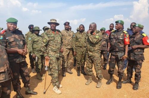 Opération Conjointe FARDC-UPDF : Plus de 500 ADF neutralisés au Nord-Kivu et en Ituri