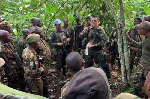 Nord-Kivu : Les FARDC et les casques bleus sud-africains repoussent une attaque des terroristes ADF à Luna