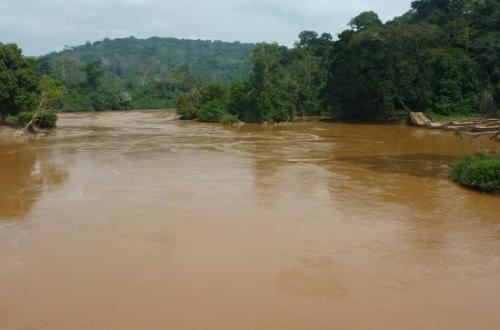 Mambasa : un corps sans vie découvert sur les eaux de la rivière Ituri