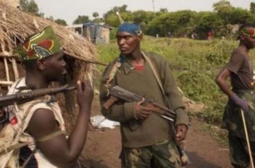 Beni : Des ADF tuent trois civils près de Mamove
