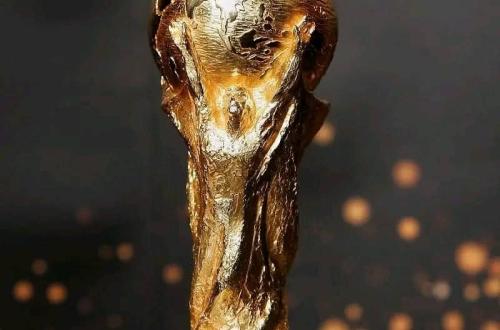 Coupe du monde : Le Maroc retenu pour la co-organisation de l'édition de 2030