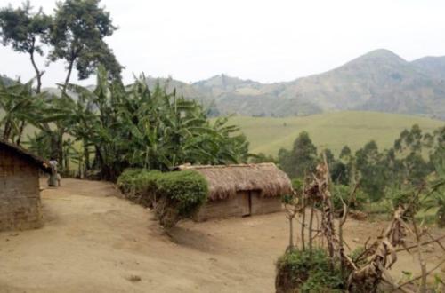 Masisi : Une dizaine de personnes périssent lors de l'explosion d'un engin de guerre