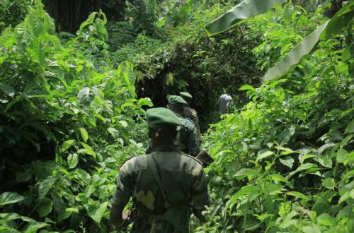 Beni : 2 combattants Maï-Maï neutralisés par l'armée