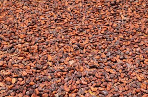 Beni : L'armée arrête cinq personnes présumées auteurs de la mort d'un acheteur de cacao près d'Oïcha