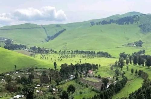 Masisi : des combats violents à la base d'un déplacement massif de la population