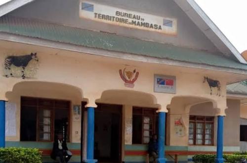 Mambasa : une délégation de patriotes dits «Wazalendo» venus de Kishishe séjourne à Babila-Babombi