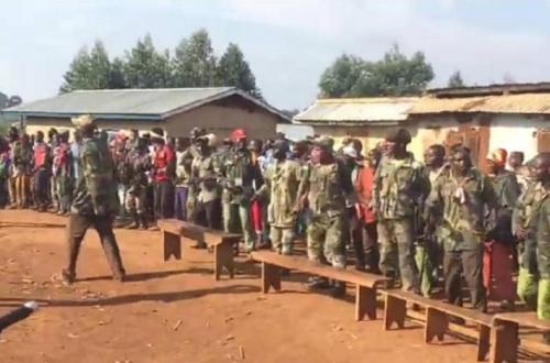 Guerre du M23 : le Secteur Opérationnel Sokola 1 Grand Nord recense les combattants des groupes armés