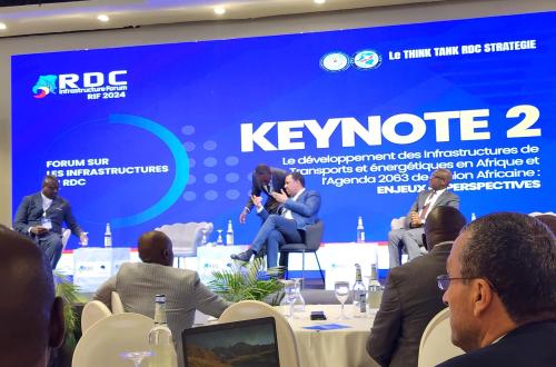 Défis et solutions pour l'accès à l'électricité en RDC : les recommandations de l'Honorable Mwanza Hamissi Singoma