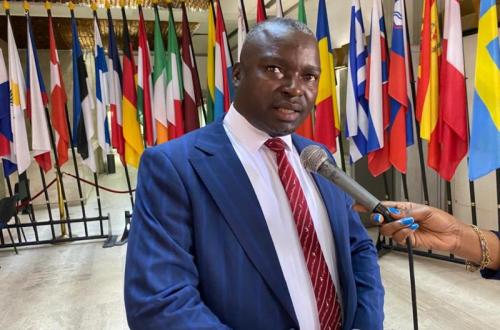 Insécurité au Nord-Kivu et en Ituri : Le député Iracan menace d'interpeller la cheffe du gouvernement au parlement