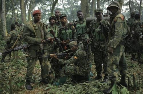 Opérations contre les terroristes ADF en Ituri et Nord-Kivu