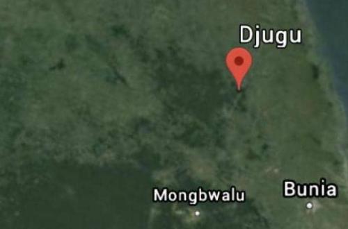Des zones hostiles occupées par l'armée à Djugu