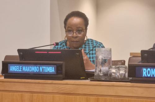 La secrétaire Exécutive Adjointe de la SADC chargée de l'Intégration Régionale participe à une réunion de haut niveau sur la résistance aux antimicrobiens