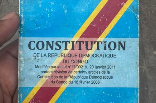 Le parti politique « Nouvel Élan » propose une révision constitutionnelle pour une meilleure gouvernance
