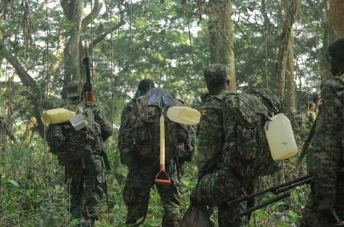 Les opérations Shujaa ont affaibli les terroristes ADF (Groupe d'Experts de l'ONU)