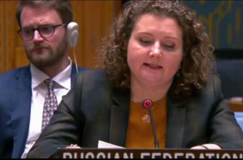 La Russie appelle à un statut clair pour le M23 et à une révision du mandat de la MONUSCO