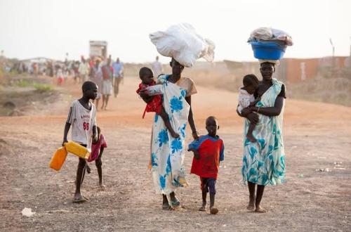 11 millions de déplacés, 26 millions de personnes affamées, le PNUD appelle à des solutions durables