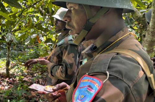 Une nouvelle vague des FARDC formée au combat de jungle par la MONUSCO à Beni