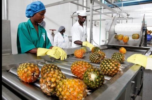 ZLECAf : une opportunité de certification ouverte aux entreprises