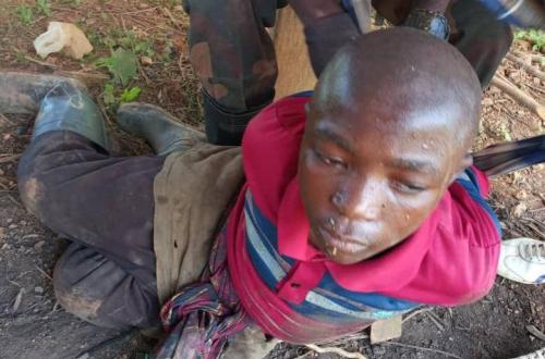 Ituri : des mouvements des rebelles ADF signalés autour de Mayuwano et Téturi, la population appelée à la vigilance
