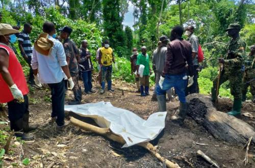 Nord-Kivu : activisme des ADF à Lubero, plus de 2600 personnes tuées, des écoles et structures sanitaires fermées