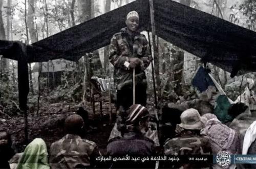 Est de la RDC : l’État islamique revendique une vague d’attaques meurtrières attribuées aux ADF/ISCAP