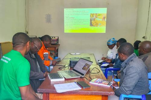Lubero : des moniteurs agricoles engagés dans le projet pilote de blé