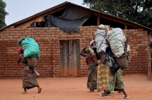 Est de la RDC : au moins 46 civils tués en trois jours dans des attaques attribuées aux ADF (Baromètre Sécuritaire du Kivu)