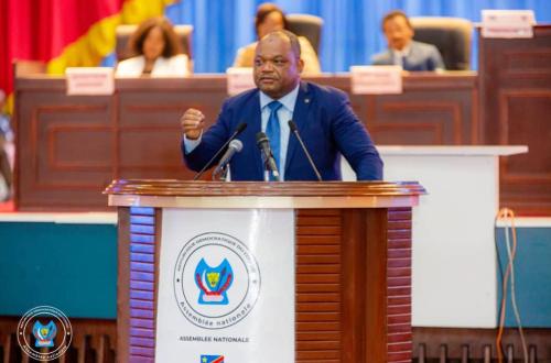 Okapis hors de RDC : polémique sur leur transfert, Abdallah Penembaka exige des explications à l’ICCN