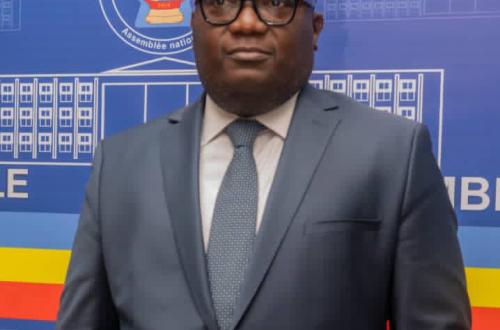 Sous-traitance et contenu local en RDC : Guy Mafuta Kabongo présente les rapports de la Commission ECOFIN