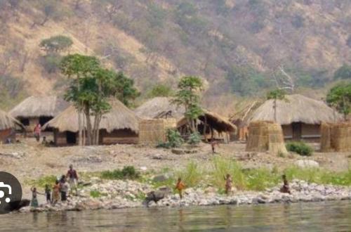 Sud-Kivu : À Lweba, pour « refus » de payer 10.000 FC, un conducteur à été fouetté par les éléments Wazalendo « Toronto »