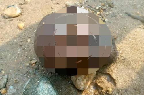 Uvira : la découverte d'une tête humaine au bord de la rivière Mulongwe ravive les inquiétudes sur l'insécurité