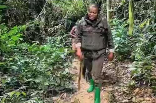 Mambasa : les FARDC annoncent la reprise de l'axe stratégique Pangoy–Tépé aux ADF