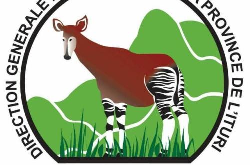 Ituri : la Société civile d’Irumu dénonce une possible marginalisation de son territoire dans la gestion des ressorts de la DGRPI