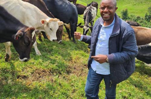 Nord-Kivu : le député Carly Nzanzu Kasivita demande la suspension  d’une campagne de promotion du cannabis médical