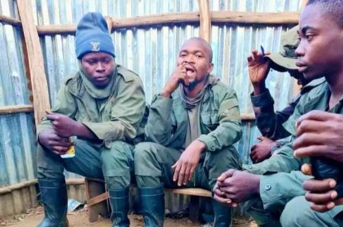 Lubero : trois combattants du M23 se rendent avec leurs armes auprès des Wazalendo à Kirikiri
