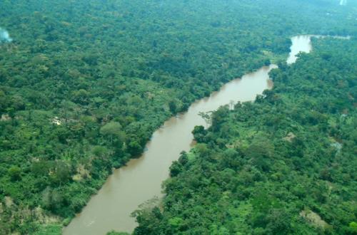RDC-Environnement : la société civile réclame un dialogue national vert