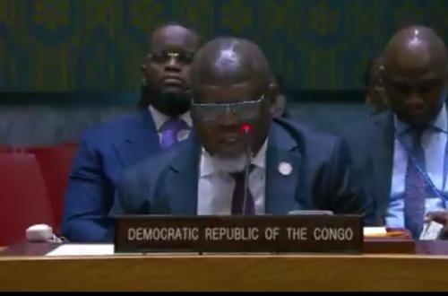 RDC–Rwanda : Kinshasa réitère avec persistance son exigigeance du retrait des forces Rwandaises devant le Conseil de sécurité
