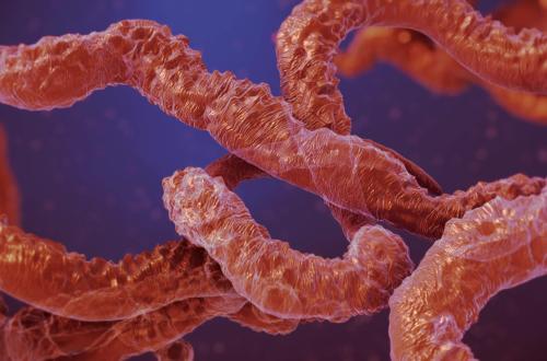 Ebola au Kenya : un premier cas importé de la RDC, le patient décédé à Nairobi